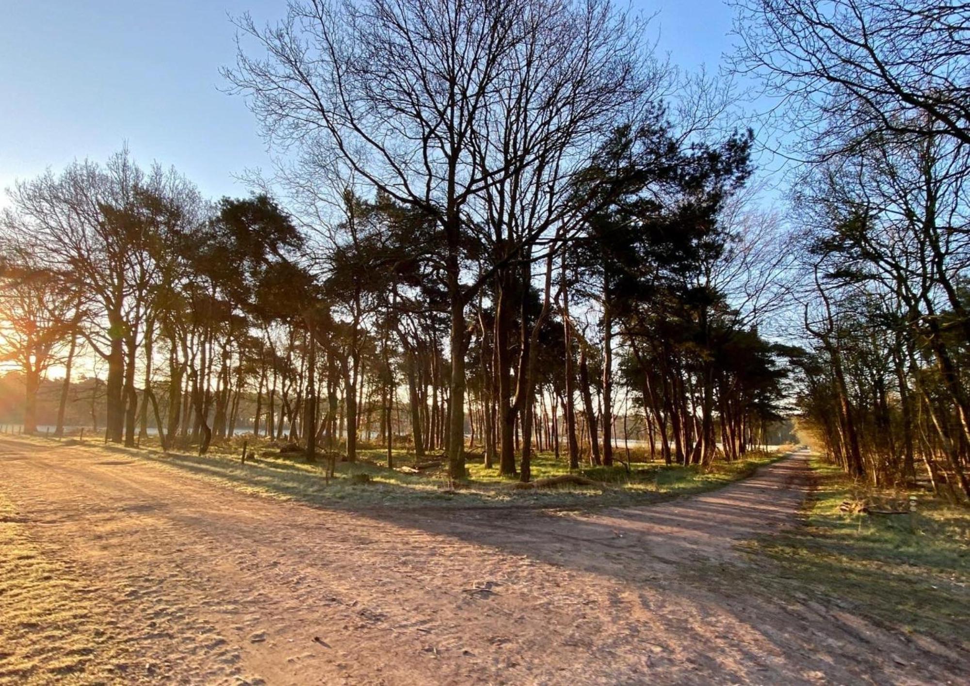 Hotspot Location, Wifi, Bed En Koffie Harmony Appartement Tilburg Buitenkant foto
